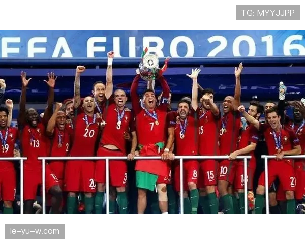 奥地利足球队欧洲杯八强表现抢眼，剑指更高荣誉