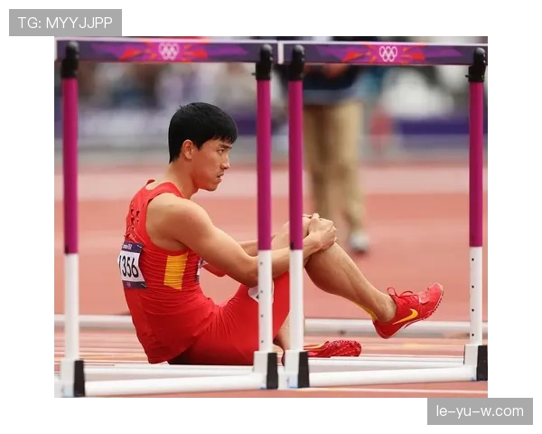 刘翔头顶镁光灯下的豪宅竟然是这样装修的？真不像跑道上的那个拼命三郎啊！